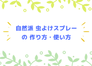【おすすめ】ハッカ油を使った虫よけスプレーの作り方・使い方